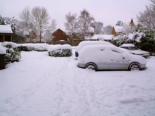Snow Scene (February 2009)