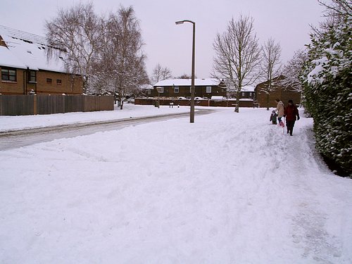 Snow Scene (February 2009)