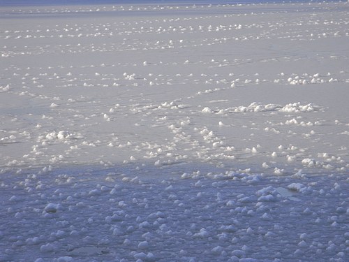 Snow Scene (January 2010)